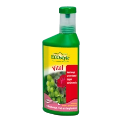 EcoStyle Vital Concentraat 250ml - Schimmels