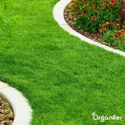 Gazonmest All-In-One (20Kg - Voor 400m2) Voor Een Diepgroen Sterk Gazon Zonder Mos En Onkruid - Complete Meststof Met Kalk En Grasversterker - Organifer -Tuin & Buiten Korting Winkel 1200x1200 11