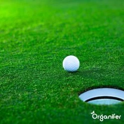 Gazonmest All-In-One (20Kg - Voor 400m2) Voor Een Diepgroen Sterk Gazon Zonder Mos En Onkruid - Complete Meststof Met Kalk En Grasversterker - Organifer -Tuin & Buiten Korting Winkel 1200x1200 15