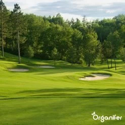 Gazonmest All-In-One (20Kg - Voor 400m2) Voor Een Diepgroen Sterk Gazon Zonder Mos En Onkruid - Complete Meststof Met Kalk En Grasversterker - Organifer -Tuin & Buiten Korting Winkel 1200x1200 16