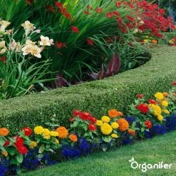 Lavagruis Uit Eifel Oergesteente (20Kg Voor 200m2) Grof Lavameel 0-2mm - Organifer -Tuin & Buiten Korting Winkel 1200x1200 24