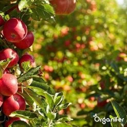 Lavagruis Uit Eifel Oergesteente (20Kg Voor 200m2) Grof Lavameel 0-2mm - Organifer -Tuin & Buiten Korting Winkel 1200x1200 28