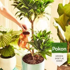Pokon Groene Planten Voedingsstaafjes - 24st - Plantenvoeding - Meststofstaafjes -Tuin & Buiten Korting Winkel 1200x1200 5