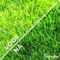 Gazonmest All-In-One (20Kg - Voor 400m2) Voor Een Diepgroen Sterk Gazon Zonder Mos En Onkruid - Complete Meststof Met Kalk En Grasversterker - Organifer -Tuin & Buiten Korting Winkel 1200x1200 7