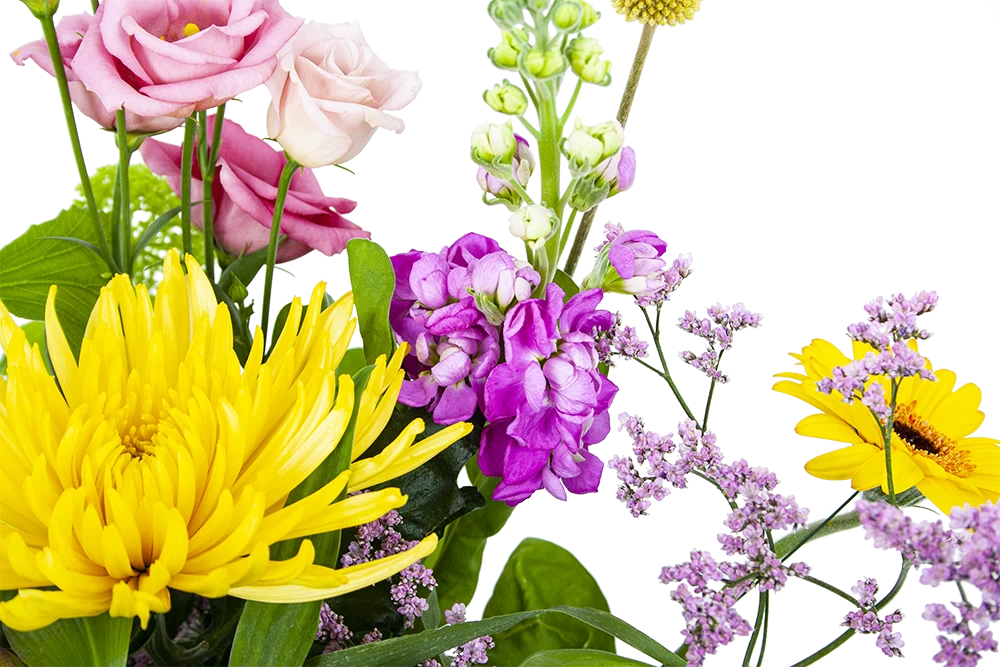 Boeket Eline Klein 5 Boeket Eline Klein - Afbeelding 3