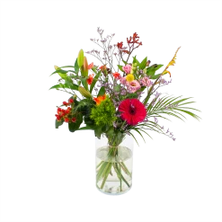 Boeket Kleurrijk Geplukt Middel