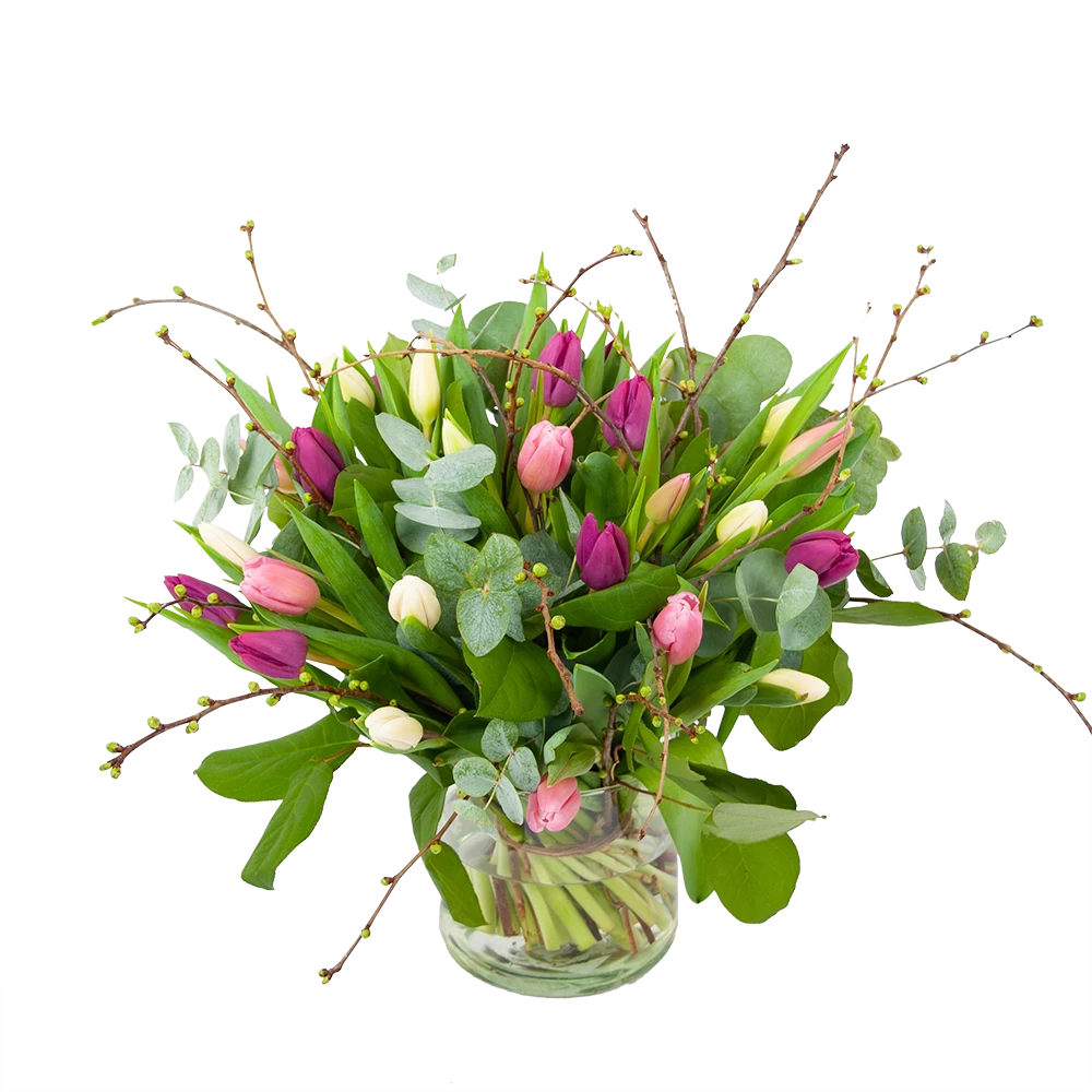 Boeket Kleurrijke Tulp Groot 3 Boeket Kleurrijke Tulp Groot