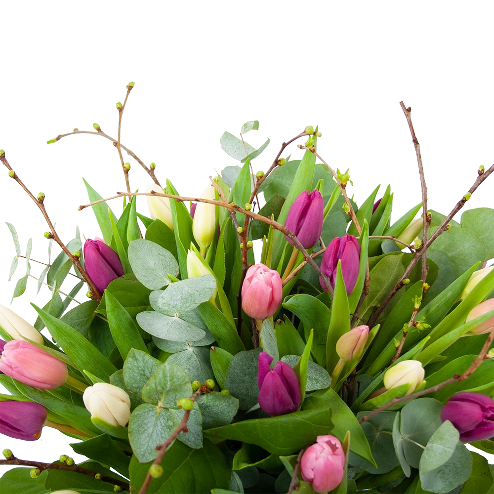 Boeket Kleurrijke Tulp Groot 4 Boeket Kleurrijke Tulp Groot - Afbeelding 2