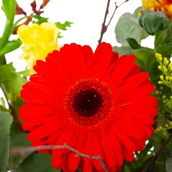 Boeket Speciale Verrassing Groot -Tuin & Buiten Korting Winkel boeket speciale verrassing boeketten 3